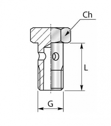 Болт банджо M10x1 (микроарматура)