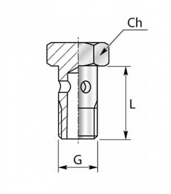 Болт банджо M8x1 (микроарматура)